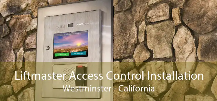 Liftmaster Access Control Installation Westminster - California